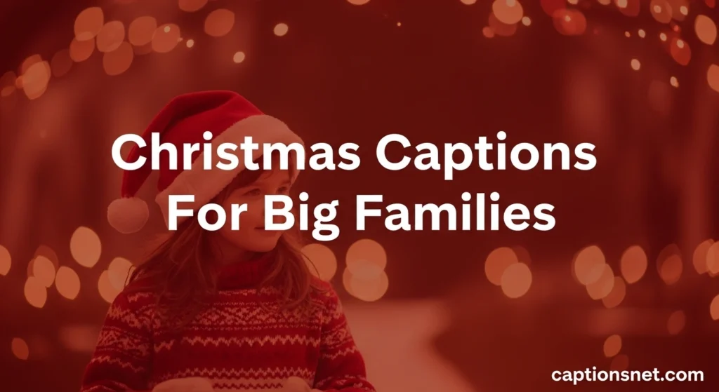 Christmas Captions For Big Families