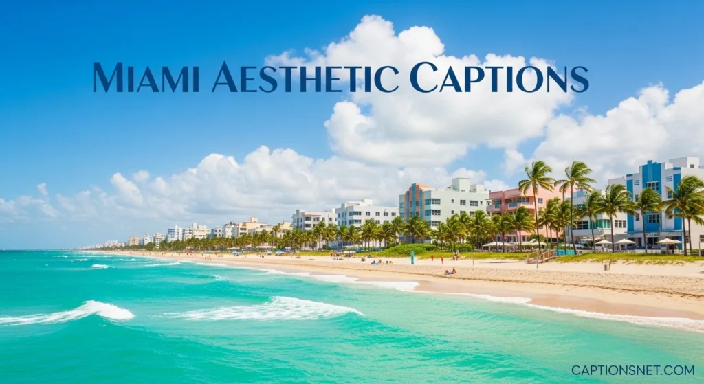 Miami Aesthetic Captions