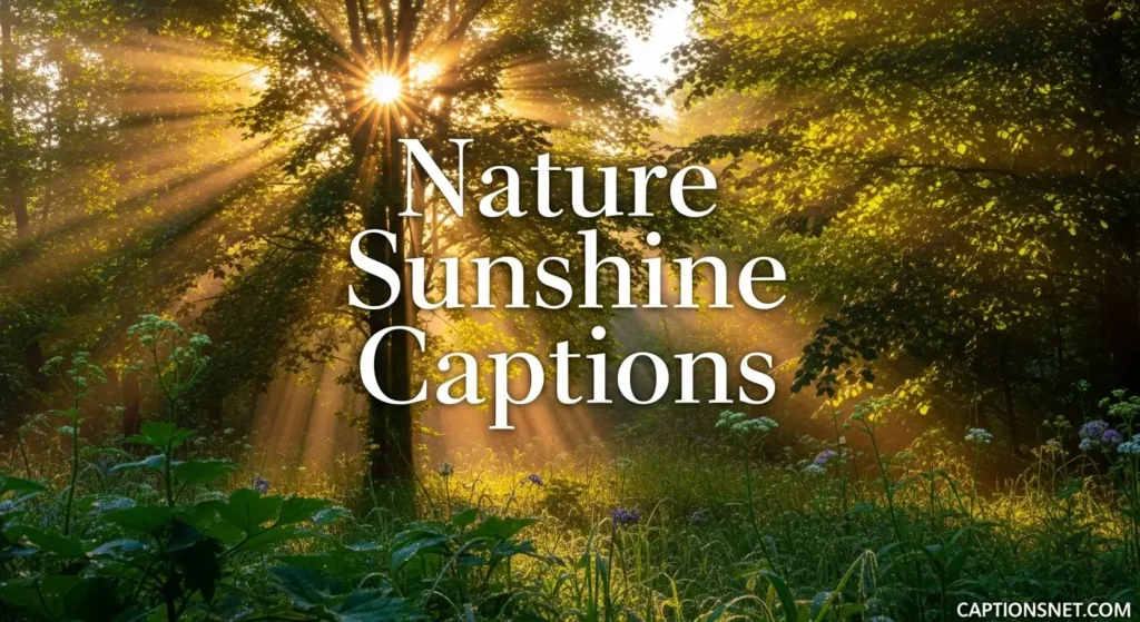 Nature Sunshine Captions