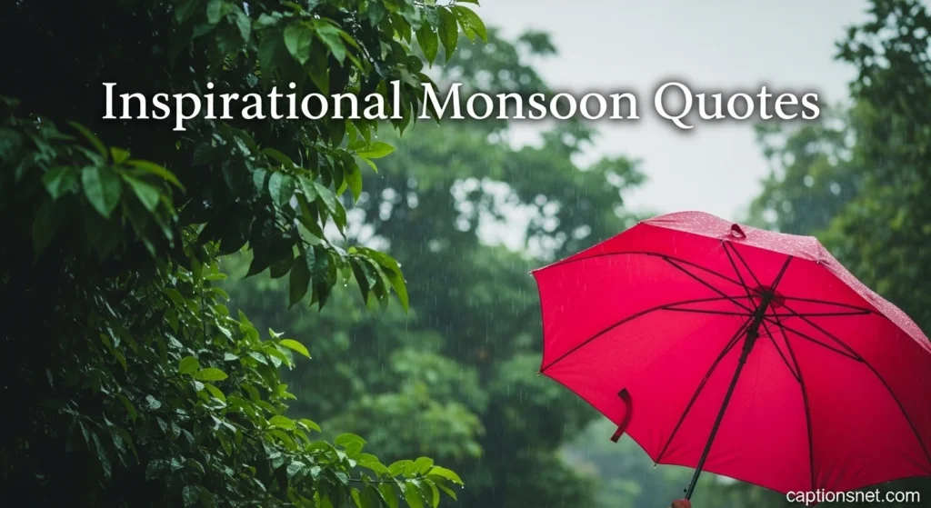 Inspirational Monsoon Quotes
