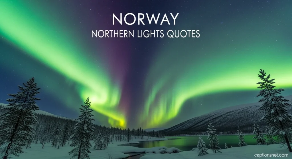 Norway Northern Lights Quotes