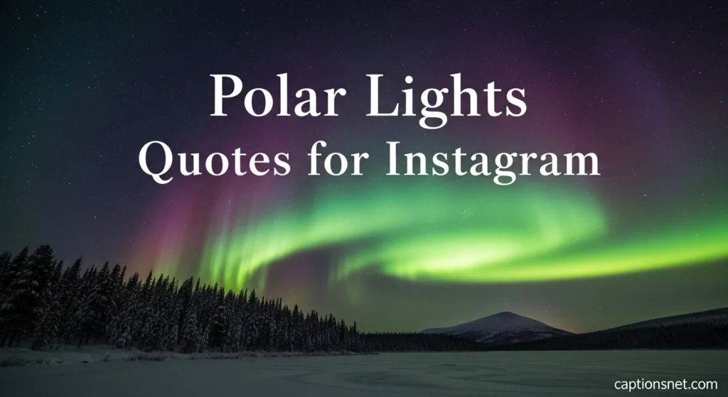 Polar Lights Quotes for Instagram