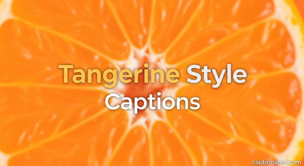Tangerine Style Captions