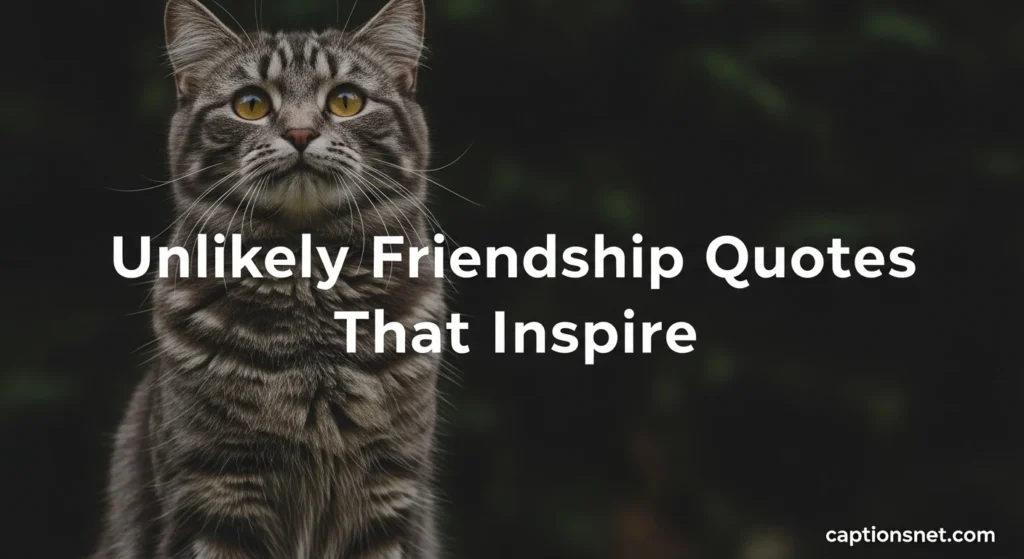Unlikely Friendship Quotes That Inspire