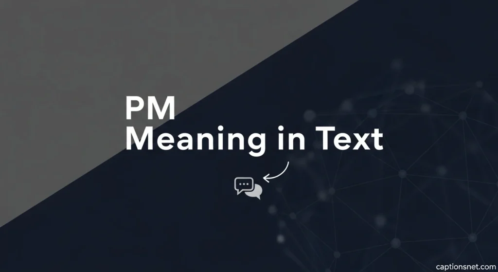 pm meaning in text