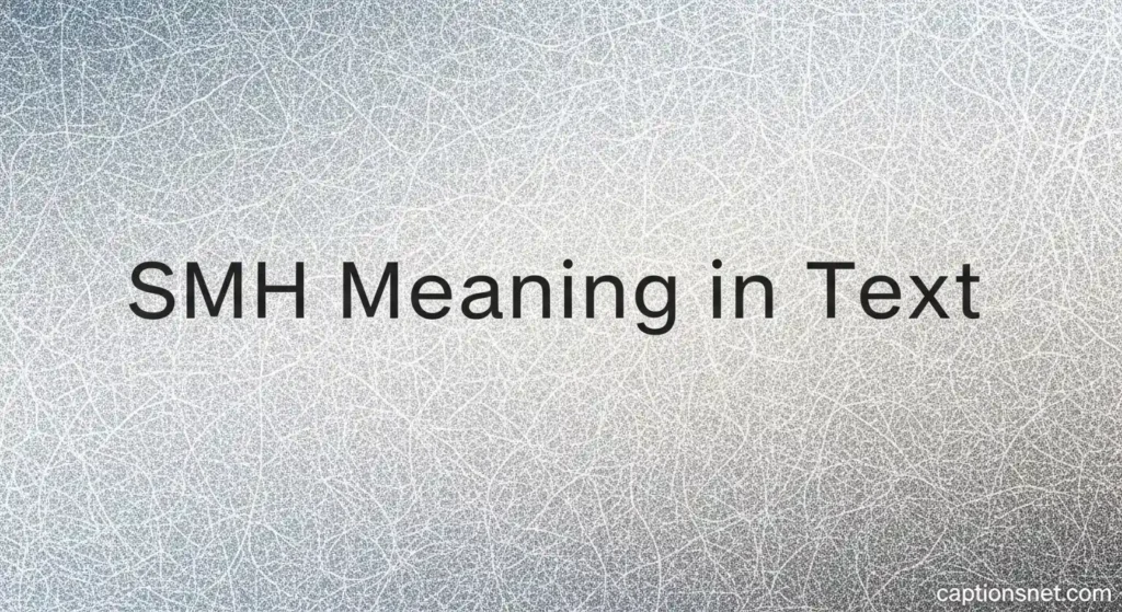 SMH Meaning in Text