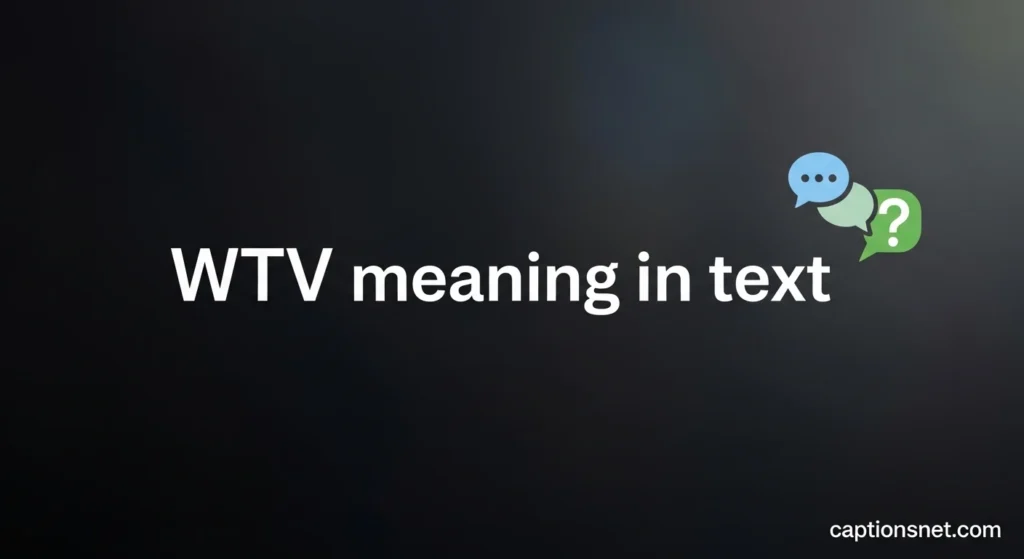 wtv meaning in text