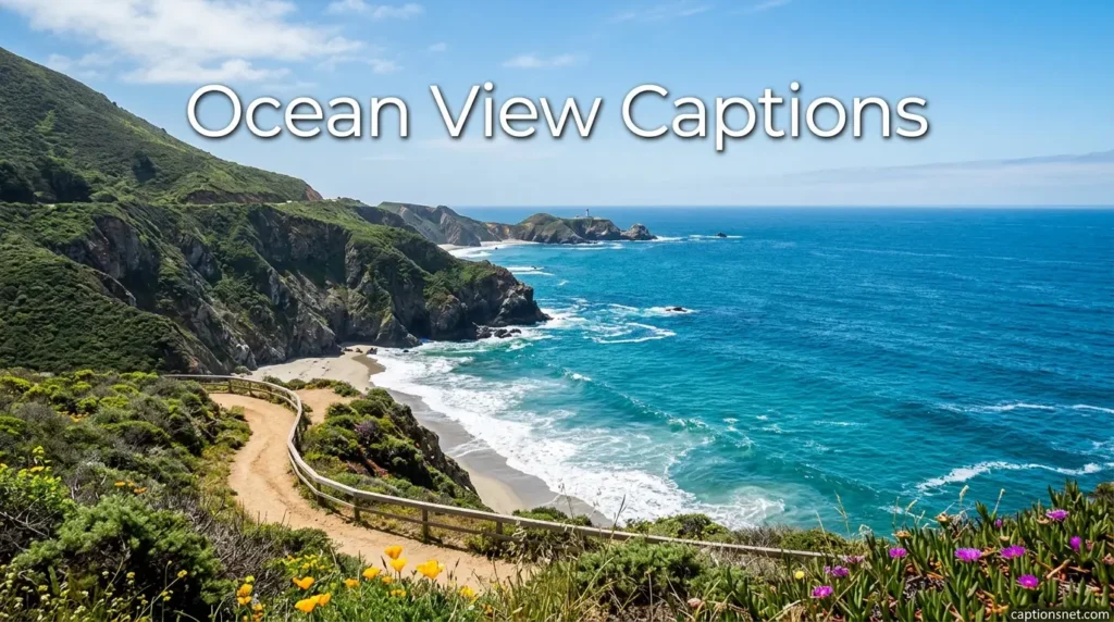 Ocean View Captions