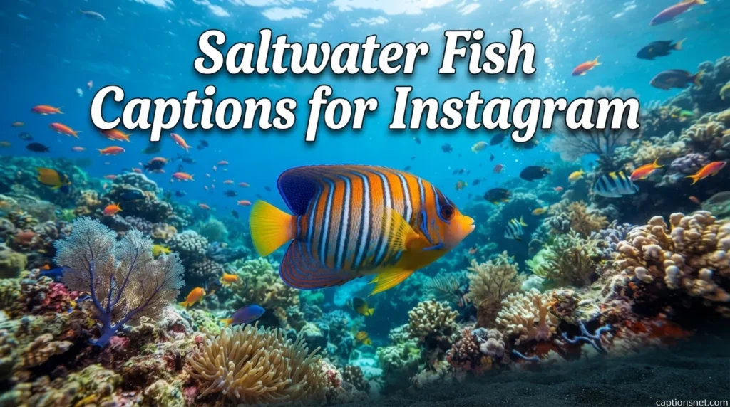 Saltwater Fish Captions for Instagram