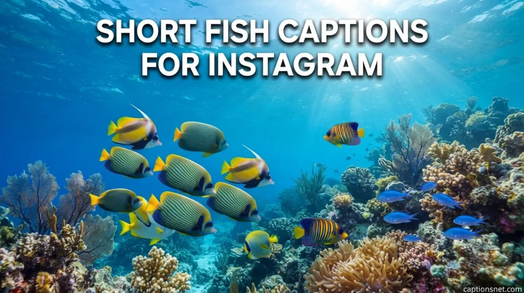 Short Fish Captions for Instagram